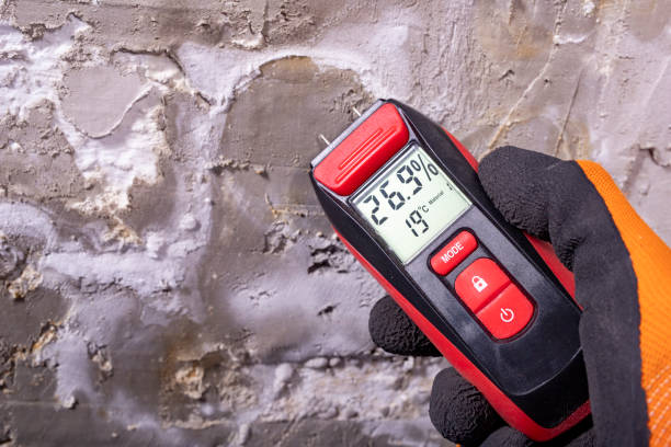 Best Mold Testing and Inspection Services in Bensley, VA